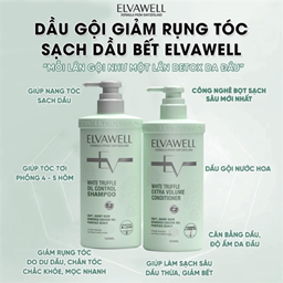 Cặp dầu gội giảm rụng tóc sạch dầu bết Elvawell